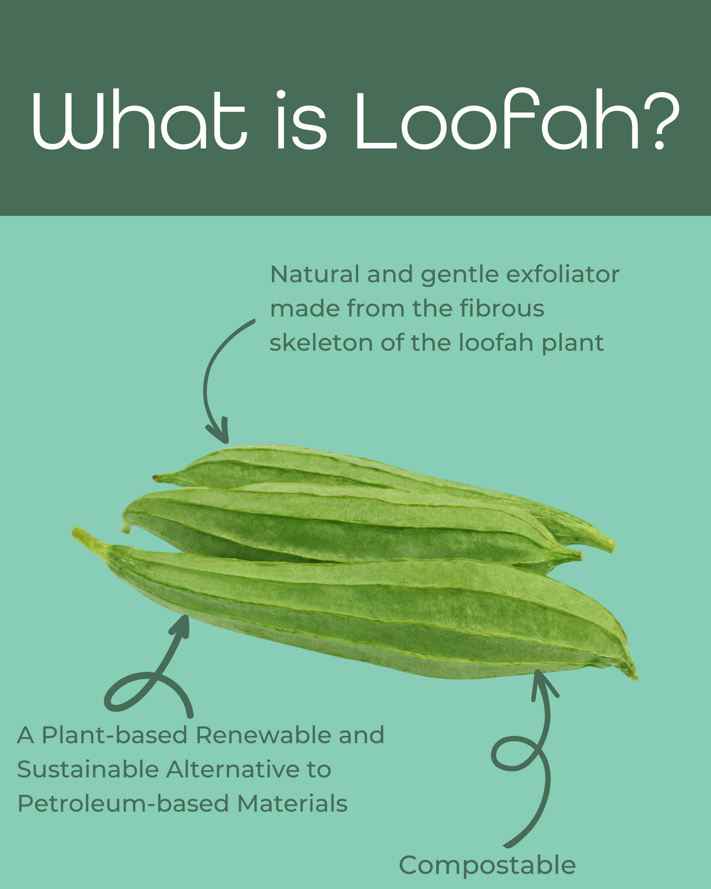 Hemp Loofah